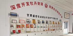 甘肅盛宏牡業(yè)綜合開(kāi)發(fā)產(chǎn)業(yè)集團(tuán)有限公司（原臨夏市河州紫斑牡丹綜合開(kāi)發(fā)產(chǎn)業(yè)集團(tuán)公司）成立于2006年，現(xiàn)有總資產(chǎn)1620萬(wàn)元，占地面積20畝，其中建筑面積3000平方米（生產(chǎn)車(chē)間、產(chǎn)品展示大廳、冷凍、冷藏、保鮮庫(kù)、溫室大棚等）。
